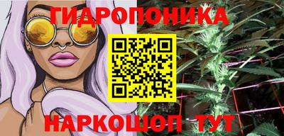 a pvp Усть-Джегута