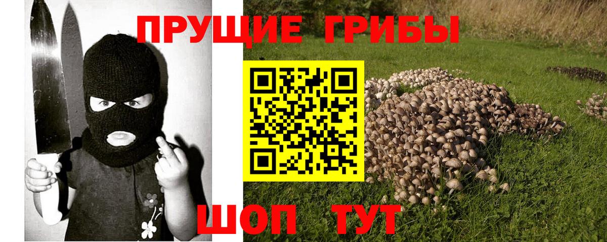 Псилоцибиновые грибы Psilocybine cubensis  купить наркотик  Нефтекумск  Вход с VPN 
