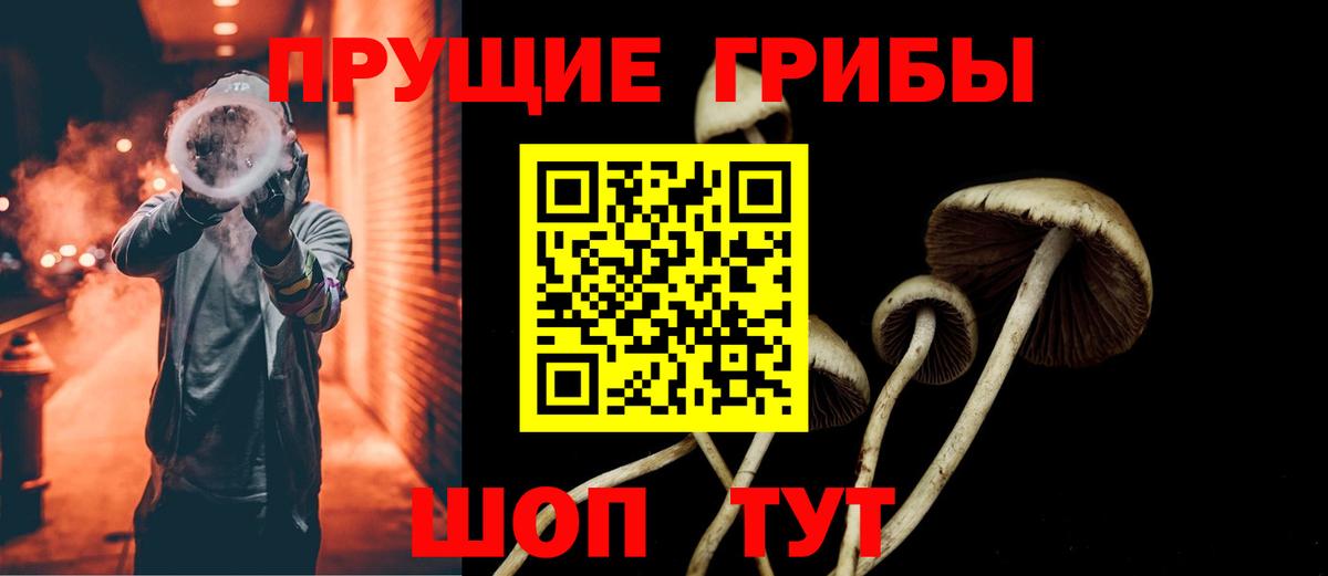 Псилоцибиновые грибы Psilocybe Нефтекумск